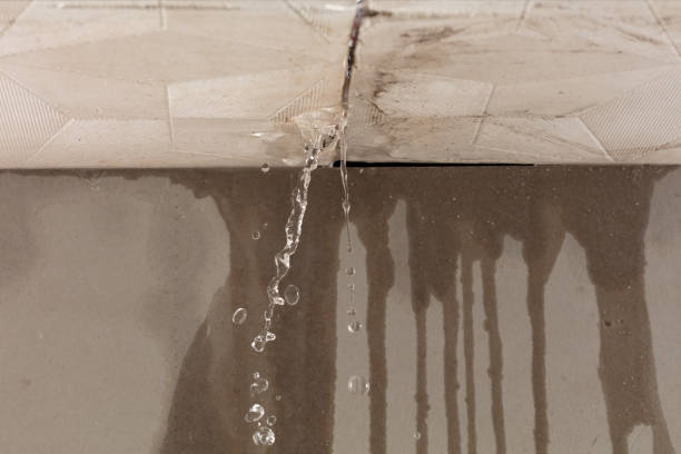 Professional Structural Drying technician working in Hampshire, TN